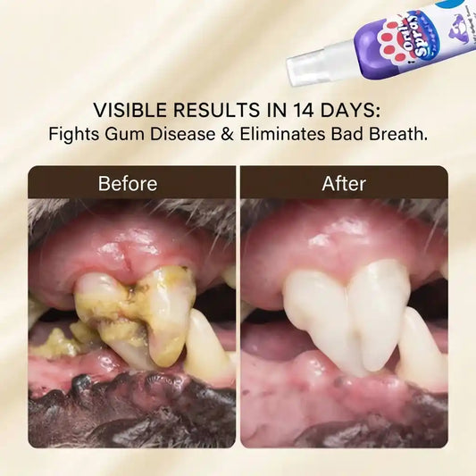 Before and after comparison showing visible dental plaque and tartar reduction on a pet's teeth after 14 days using Calming Pet Shop oral spray.