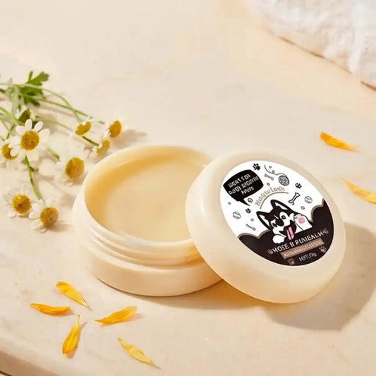 An open jar of natural, soothing paw balm from Calming Pet Shop, showcasing its smooth texture next to delicate white chamomile flowers and scattered yellow petals on a warm neutral surface.