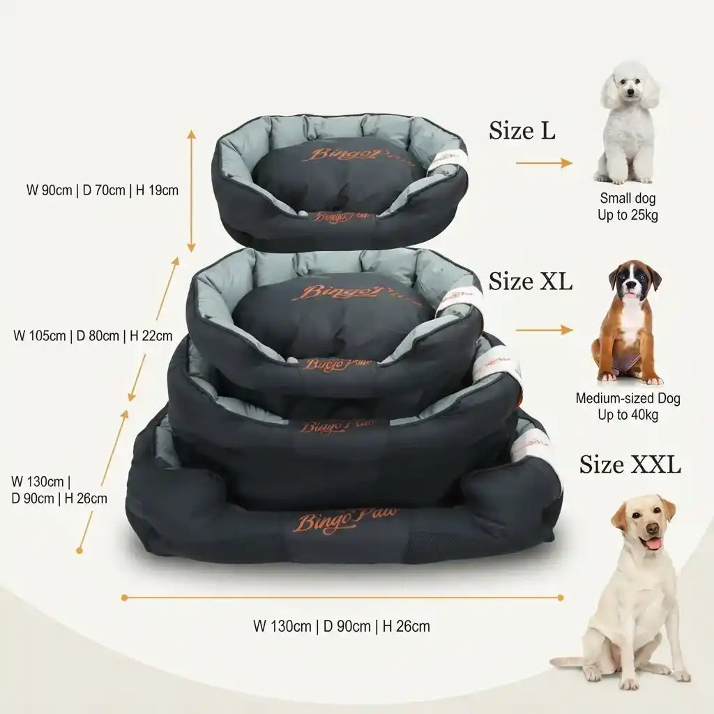 Three stacked orthopedic dog beds in sizes L, XL, and XXL with dimension labels and small dog photos on a light beige background. 