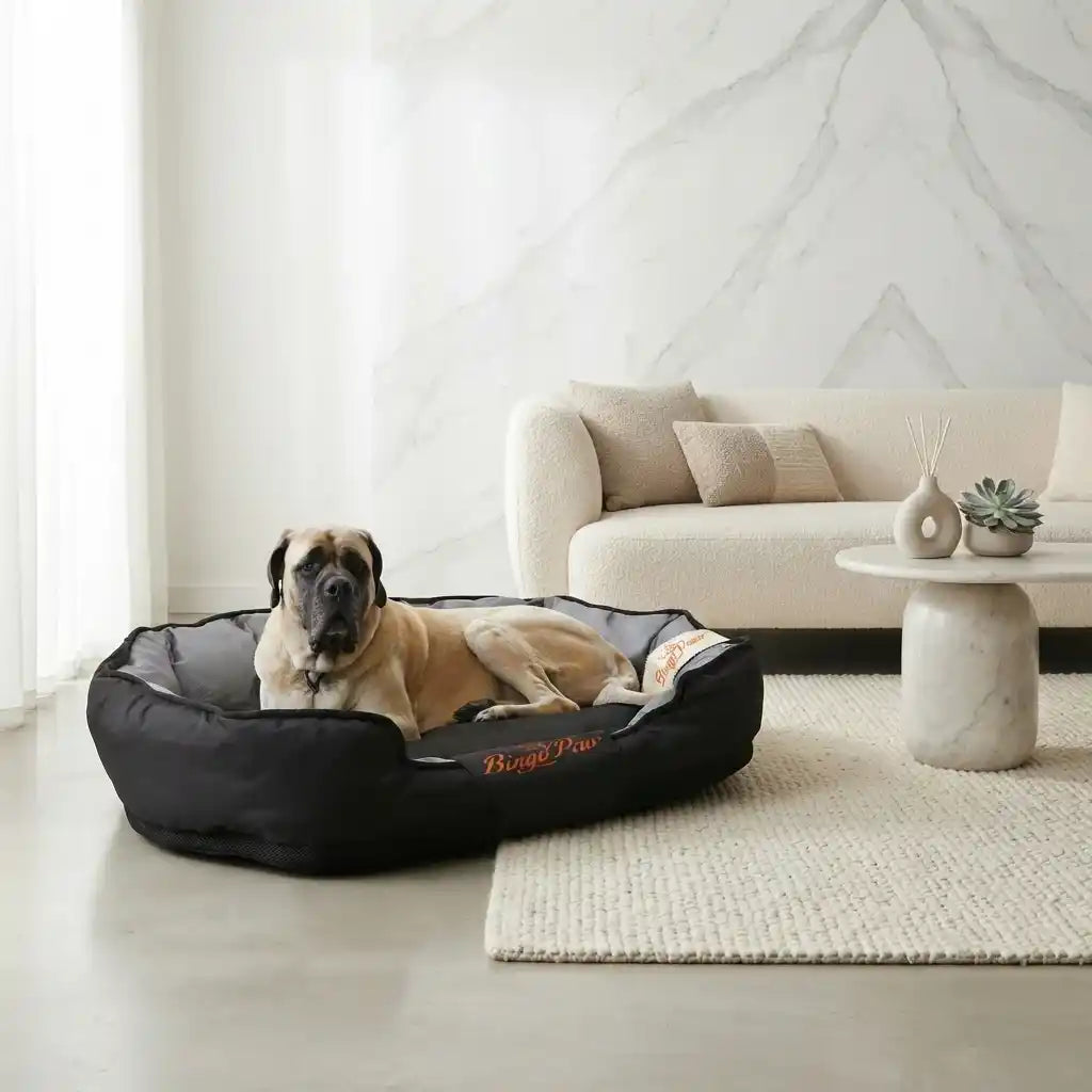 A tan dog lies inside a black round XXL orthopedic Pet bed placed in a bright modern living room with a cream sofa, marble coffee table, and light rug.