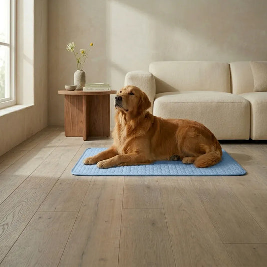 Golden retriever lying peacefully on a sky blue cooling mat beside a sunlit window