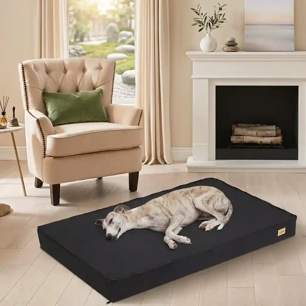 A dog sleeping peacefully on a sleek black orthopedic memory foam dog bed placed on a hardwood floor inside a cozy, well-decorated living room.