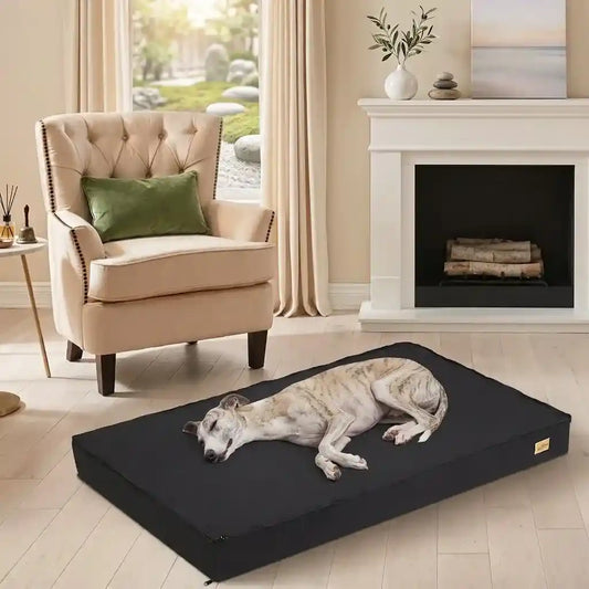 A dog sleeping peacefully on a sleek black orthopedic memory foam dog bed placed on a hardwood floor inside a cozy, well-decorated living room.