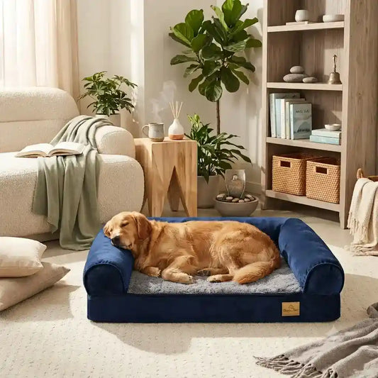 A golden retriever sleeping peacefully on a navy blue pillow top orthopedic pet bed placed on a cozy living room rug.