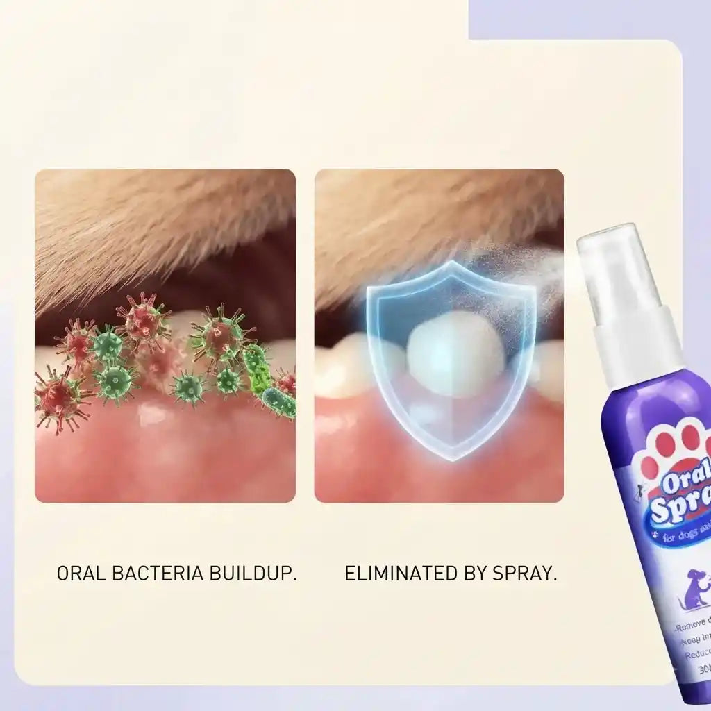 Visual comparison showing oral bacteria buildup being eliminated and shielded by Calming Pet Shop oral spray for pets.