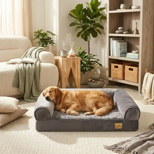 A golden retriever sleeping peacefully on a gray pillow top orthopedic pet bed placed on a cozy living room rug.